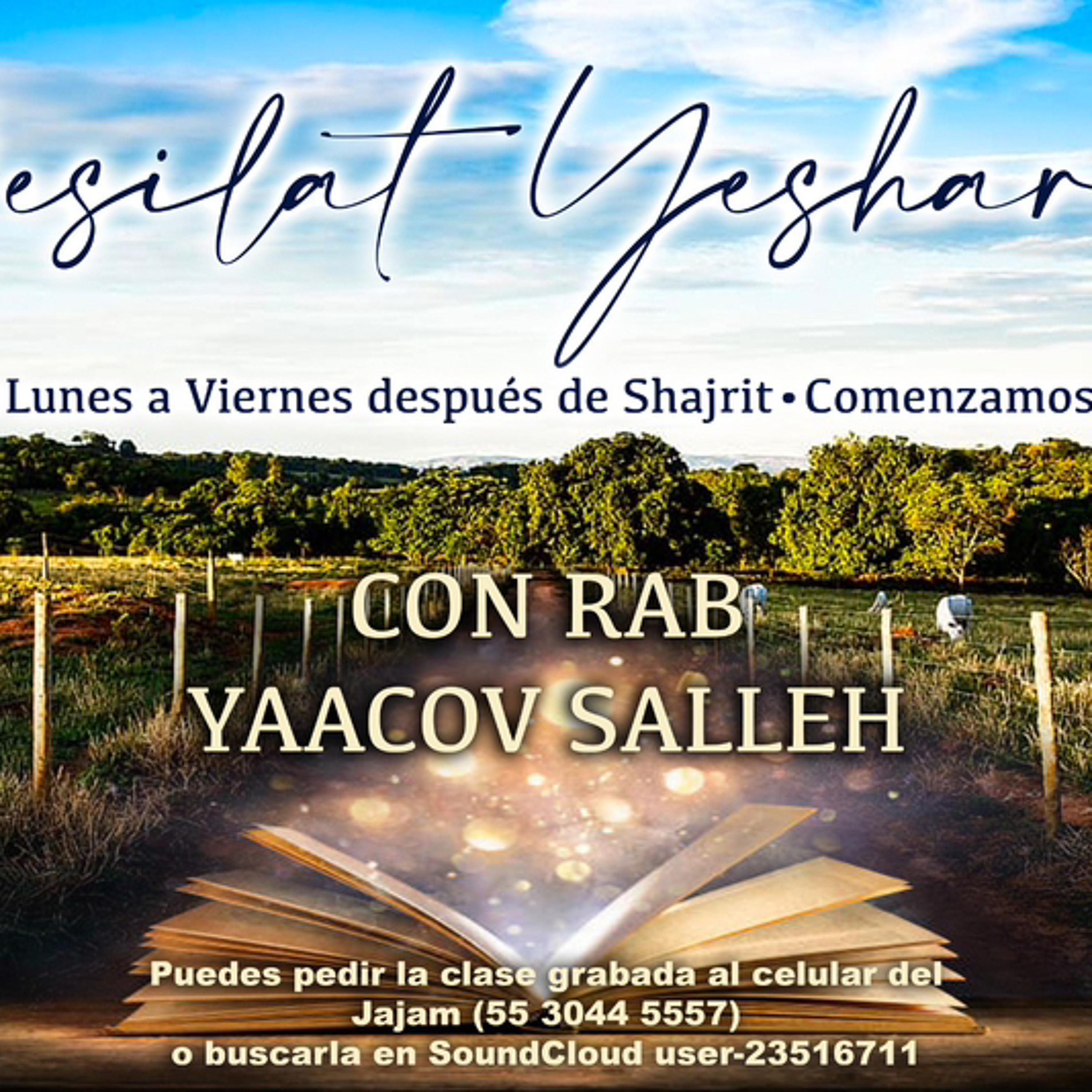 Shiurim de Torá