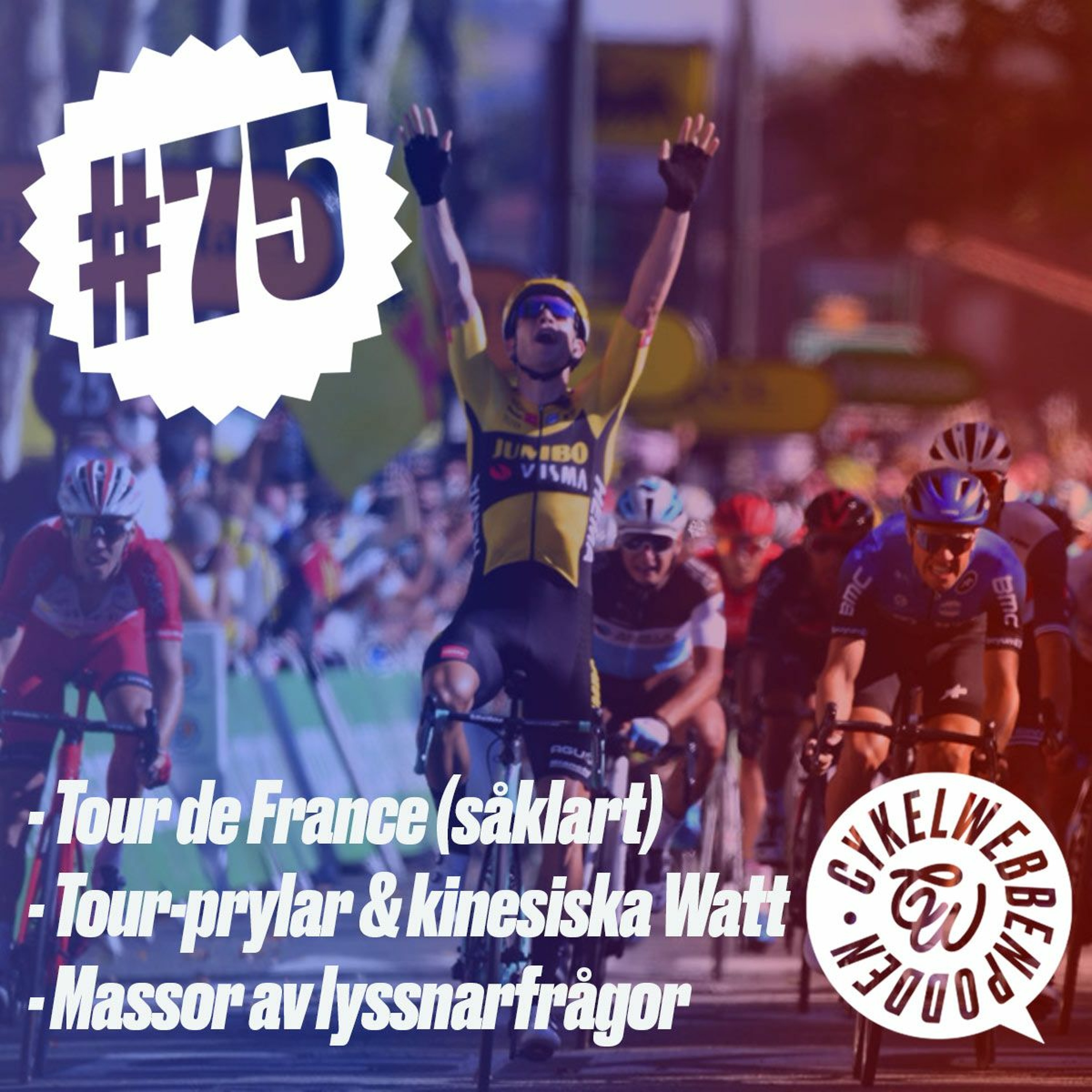 CykelwebbenPodden