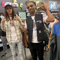 Certified Trapper - Architect