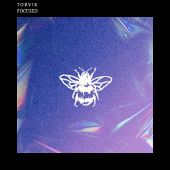 TORVIK - Focused