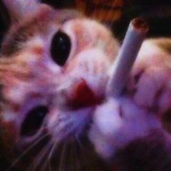 I Feel (temcandoanything)