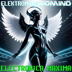 Electronica Maxima