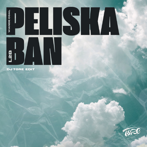 WANDE COAL & L2B - PELISKABAN ( DJ TORE Edit )