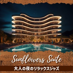 Glimmering Horizons at Night