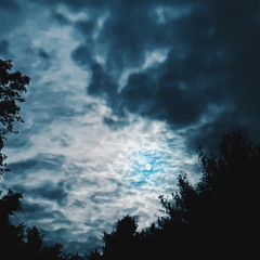 "Complicated" Rough Demo