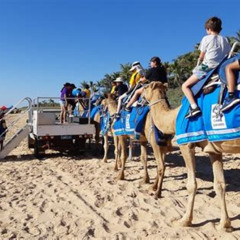Best 1 Hour Broome Sunset Camel Tour Tours Review