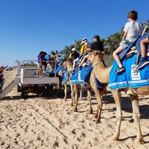 Best 1 Hour Broome Sunset Camel Tour Tours Review