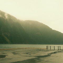glimmers of distant memories w/ funeral garden.