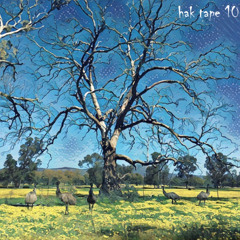 Hak Tape 10
