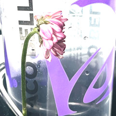 I still ggo - waiting 4 u