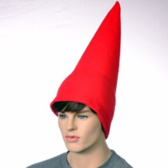 guysinpointyhats_20240618