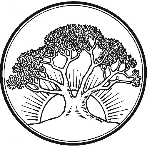 2025-12-07 Advent II its the end of the world as we know it Luke 21:25-33