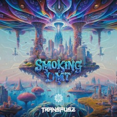 Transfuse - Smoking DMT (Original Mix)