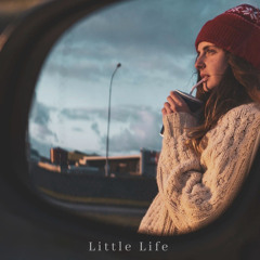 litle things