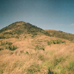 Head in the Ceiling Fan (Title Fight Cover)