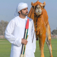 شيلة آخر ندا يا اهل النواميس - الشاعر/ سيف المنصوري - اداء/ هادي بن جابر المري