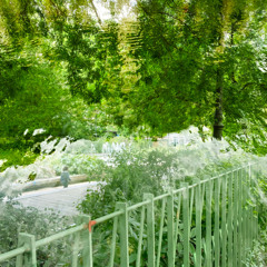 chant de la baleine mélancolique.wav