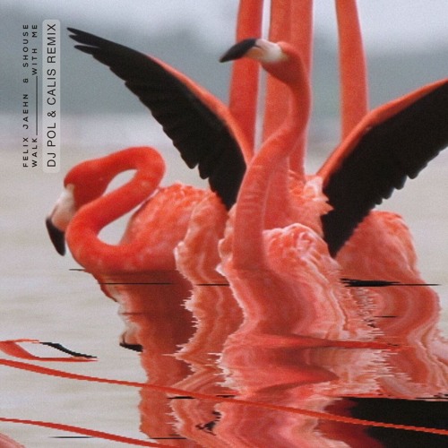 Felix Jaehn, Shouse - Walk With Me (DJ Pol & Calis Bass/Tech House Club Remix) [FREE DOWNLOAD]