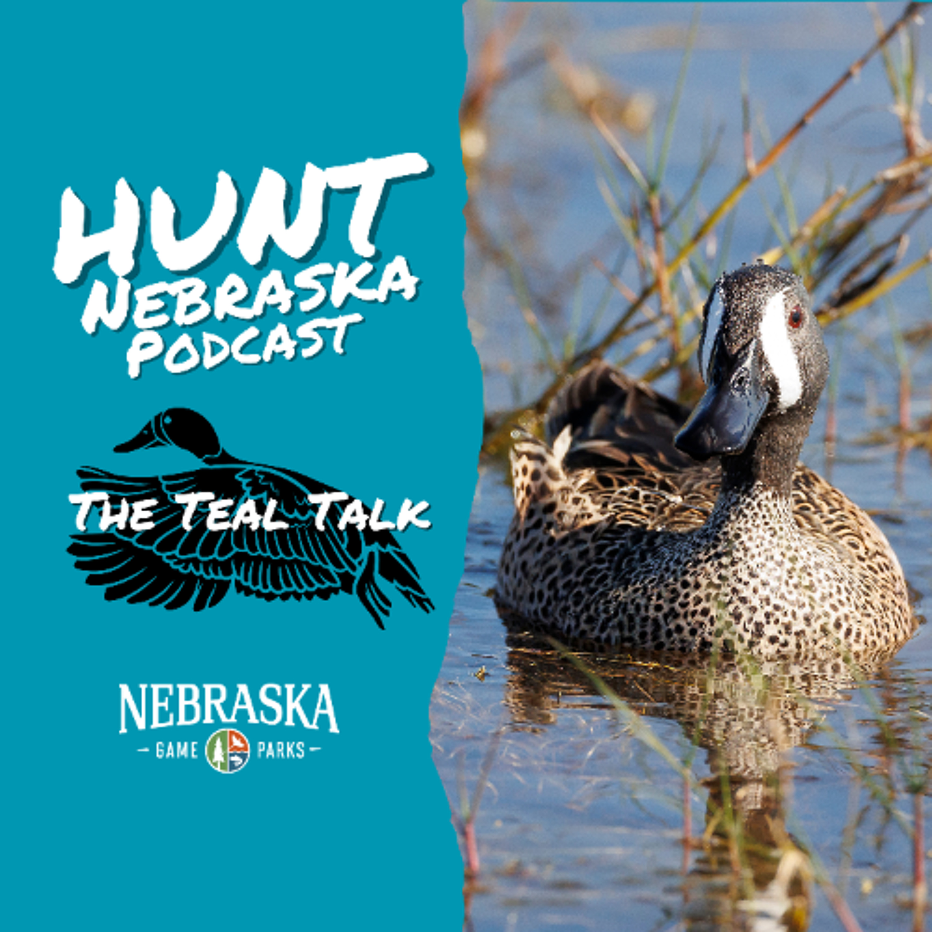 The Teal Talk