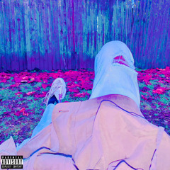 Janet/Fault (Prod. Wet gropes)