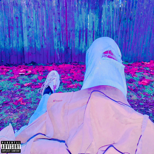 Janet/Fault (Prod. Wet gropes)