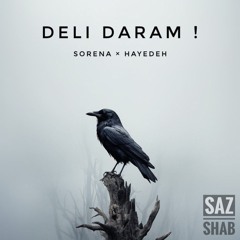 Deli Daram ! | Sorena × Hayedeh