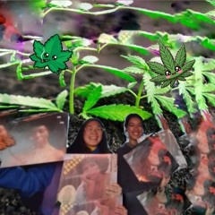 420 R$D $ESH E5 2024