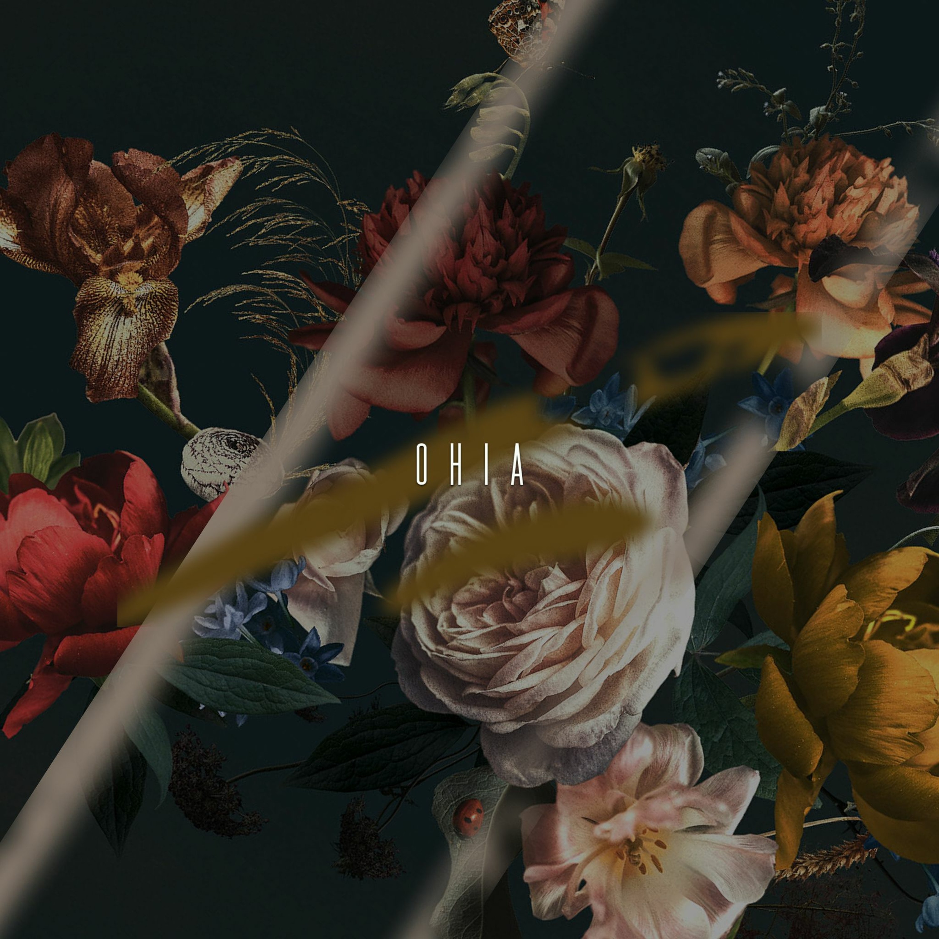 Ohia episode artwork