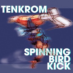 TENKROM - SPINNING BIRD KICK [FREE] [Out on Spotify]