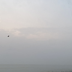 Kini~Daun Jatuh (cover)