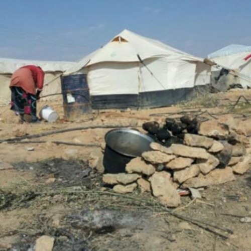 بسبب الأغنام، حرمان مخيم في "ريف عفرين" من المساعدات لسنوات!! 25 - 01 - 2023