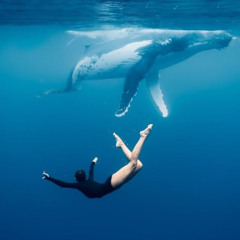 Danseuses des mers