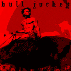 Bull Jockey
