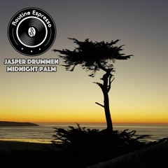 Jasper Drummen - Midnight Palm