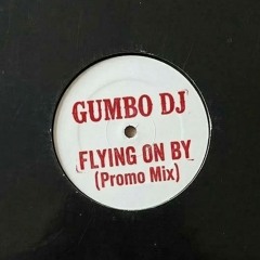 Gumbo DJ - Flying On By (Promo Mix)
