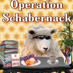 Operation Schabernack