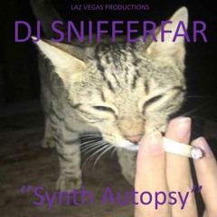 Synth Autopsy