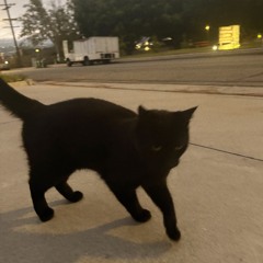 Never Getting Tired Of You