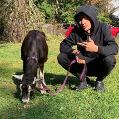 Babytron - Goat Talk