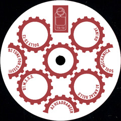 Dolly TS-13: Jani Ho - Soul Mechanica