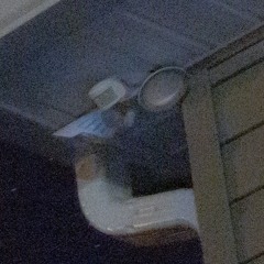 ithinktheyseemyshadow