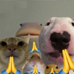 cdoi a dat ten la muon phien