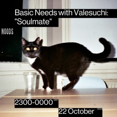 Basic Needs with Valesuchi: "Soulmate"