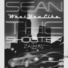 What You Like Ft. ZaiMal