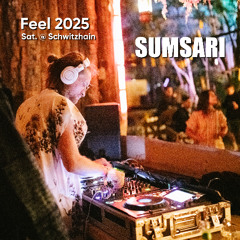 Saturday Set @ Schwitzhain, Feel Festival - 26.07.25