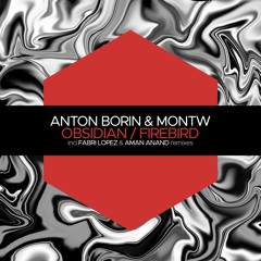 PREMIERE: Anton Borin & Montw - Obsidian (Fabri Lopez Remix) [Juicebox Music]