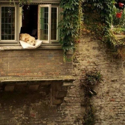 Stream Jane maryam by Taha Listen online for free on SoundCloud