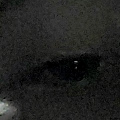 Cancer (Prod. Ketamine Dream)