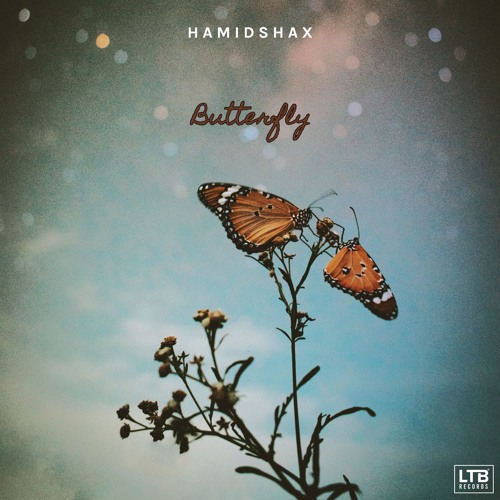Hamidshax - Butterfly (Original Mix)