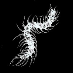 hole in the wall (stoicfaced)